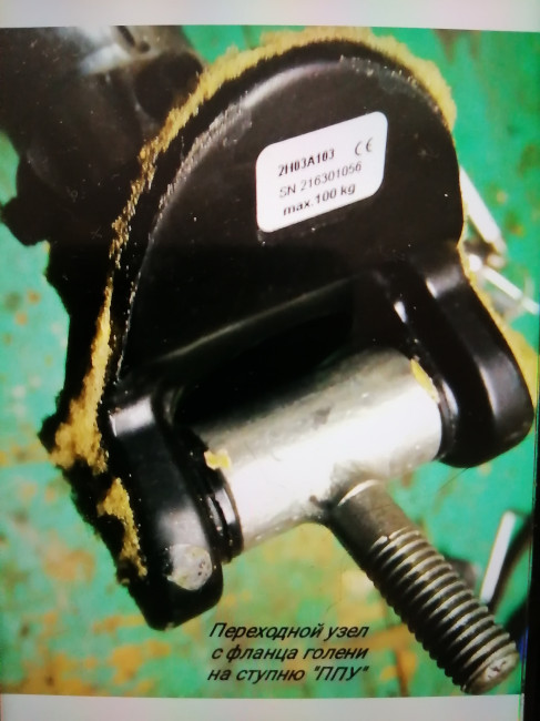 ���� ��������� ������ � �������� �����.